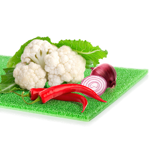 tescoma 897005 podkł. antybakteryjna lod.4FOOD 47x30cm 2