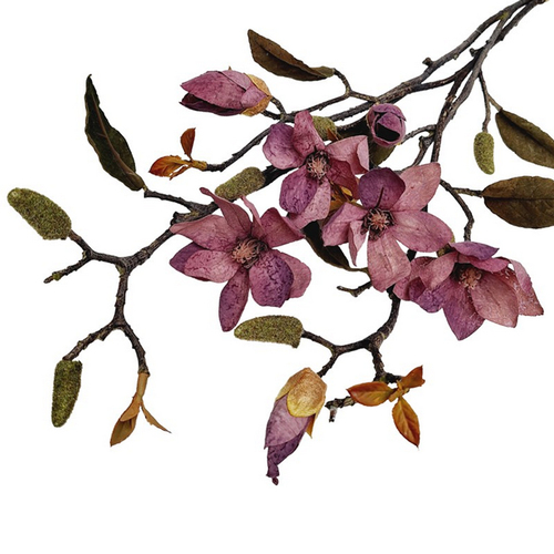 Magnolia gałązka 24AF23-265 2