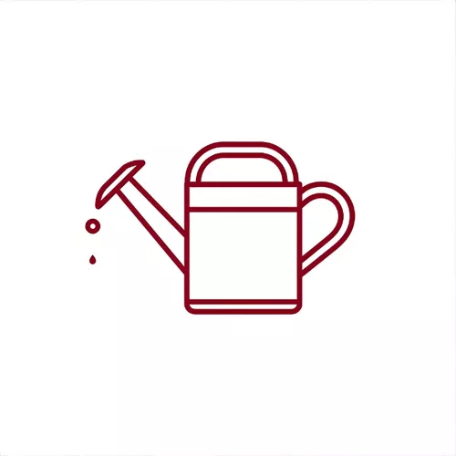 Konewki
