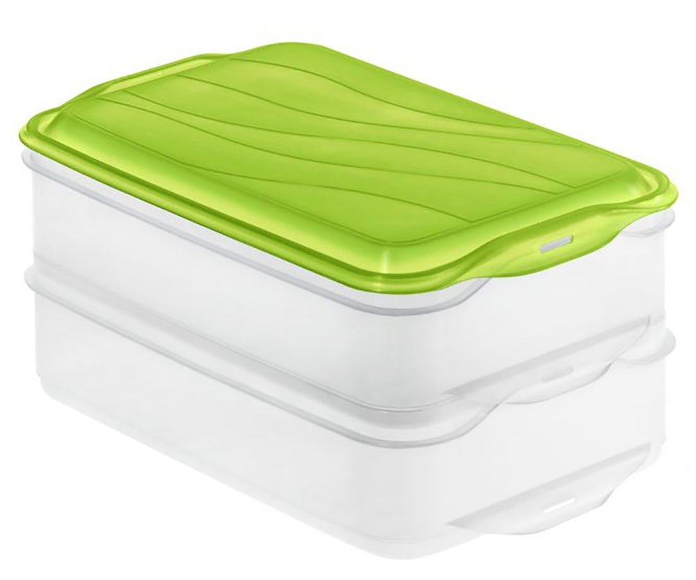 rotho pojemnik na żywność foodcenter ii, 2x 1.35l 1