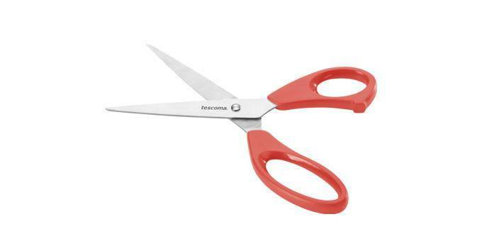 Tescoma 888214 Nożyce do domowego użytku Presto 22cm 1