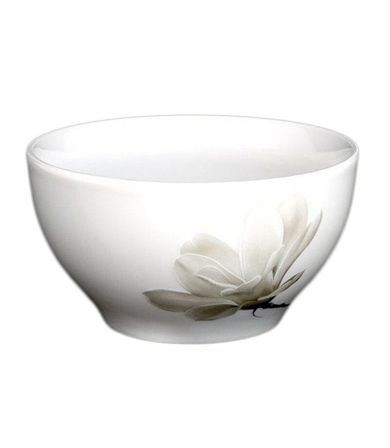 Magnolia 6474 zakwaszarka 65 lubiana 1