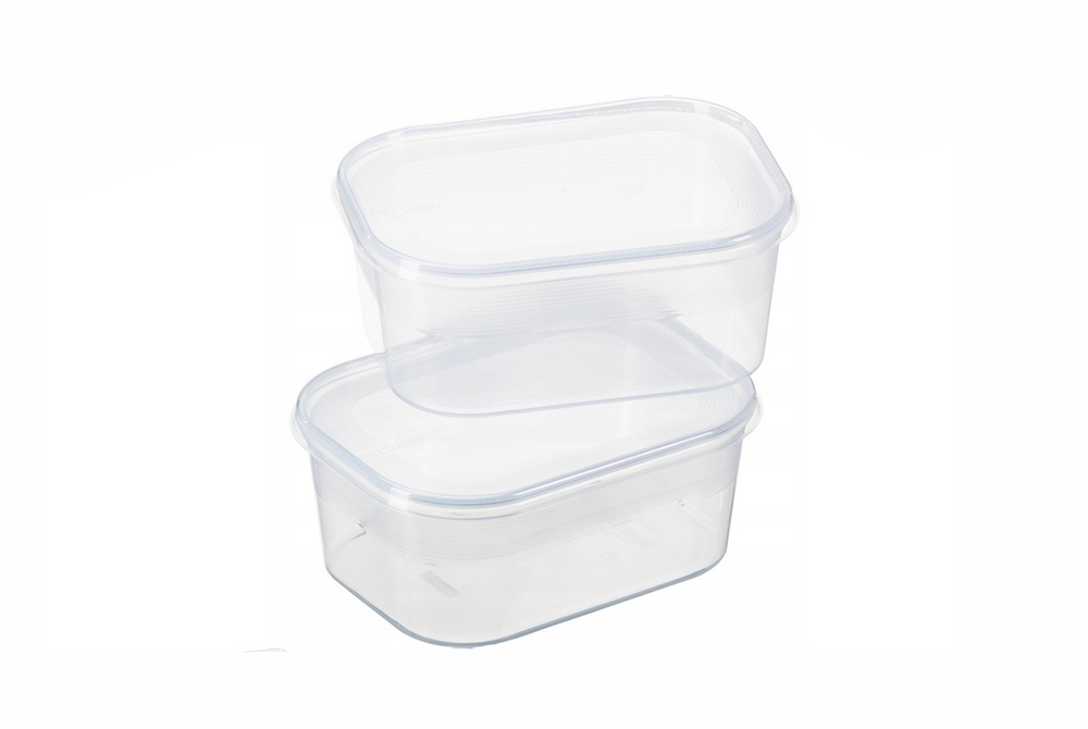 Pojemnik do zamrażarki Helsinki z pokrywką 300ml set 2szt. 1594 1