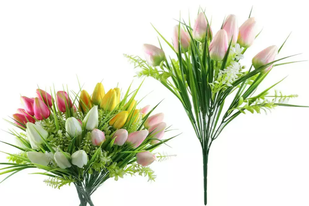 kwiat tulipan 000115 1