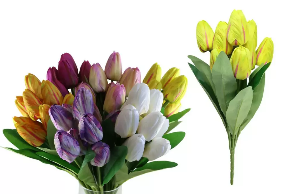 kwiat tulipan kwwiel.000118 1