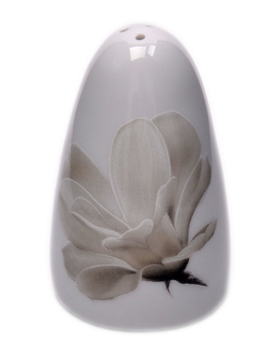 Magnolia 6474 solniczka 3 ewa 1