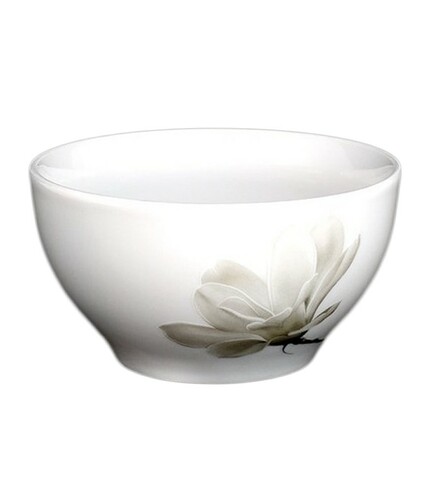 Magnolia 6474 zakwaszarka 65 lubiana 1