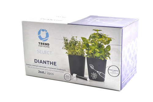 Trend 500510 Zestaw Dianthe 1