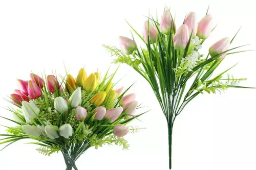 kwiat tulipan 000115 1