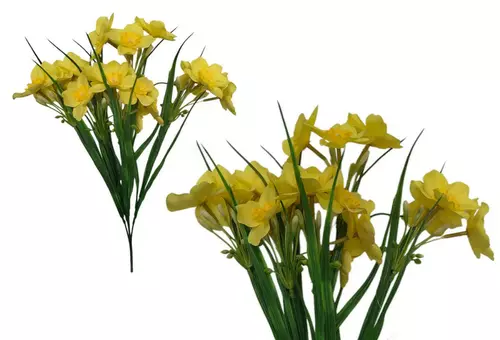 bukiet żonkil 00104 1